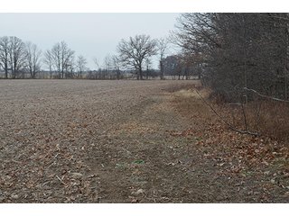 Property photo 15 - LAND AUCTION, 77 Acres offered in 3 Tracts